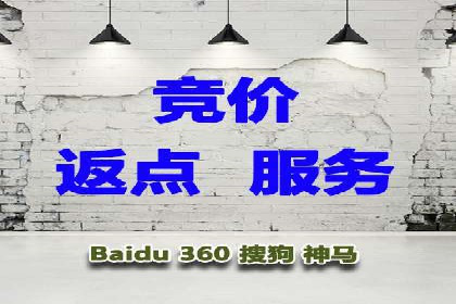 SEM运营公司成功案例解析